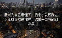我以为自己看懂了，后来才发现我以为蜜桃导航就那样，结果一口气刷到凌晨