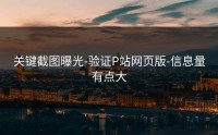 关键截图曝光-验证P站网页版-信息量有点大