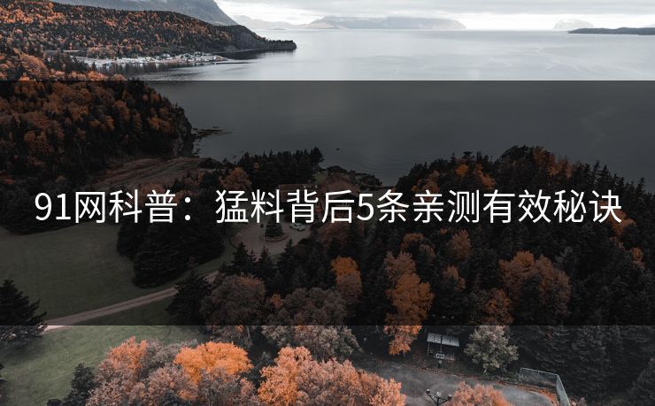 91网科普：猛料背后5条亲测有效秘诀