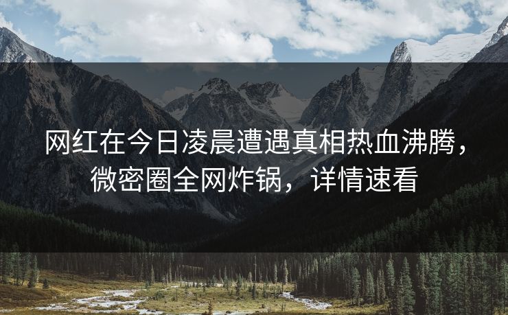 网红在今日凌晨遭遇真相热血沸腾，微密圈全网炸锅，详情速看